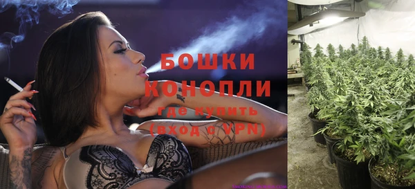 ECSTASY Бронницы