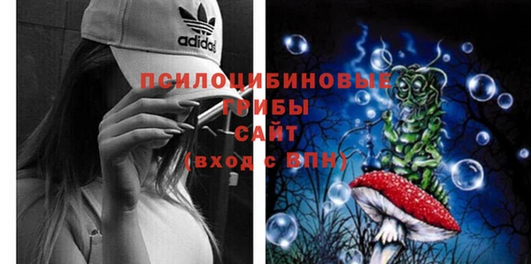 ECSTASY Бронницы